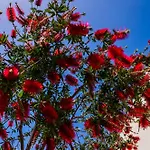 The Sicily Lobster House Villa Naso