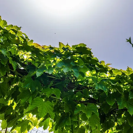 The Sicily Lobster House *