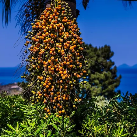 The Sicily Lobster House