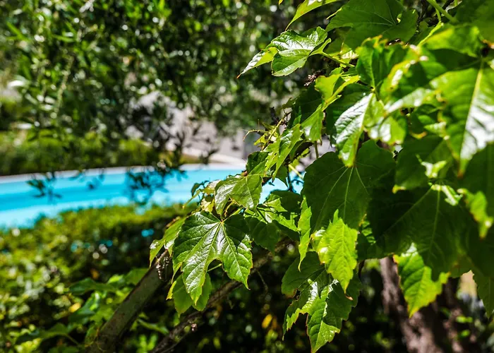 The Sicily Lobster House * Naso