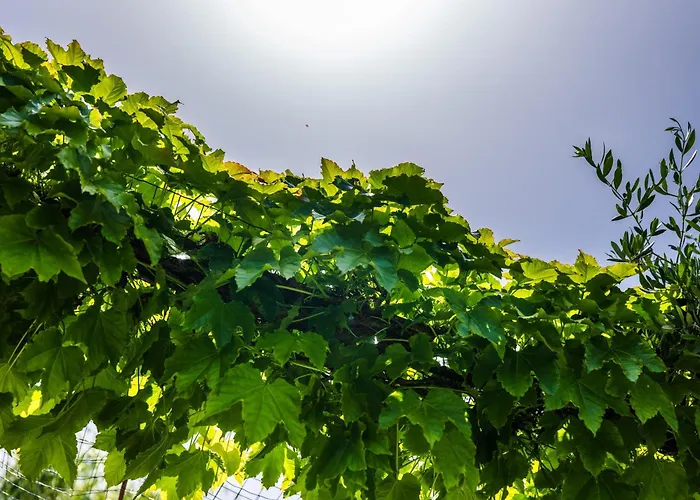 The Sicily Lobster House *