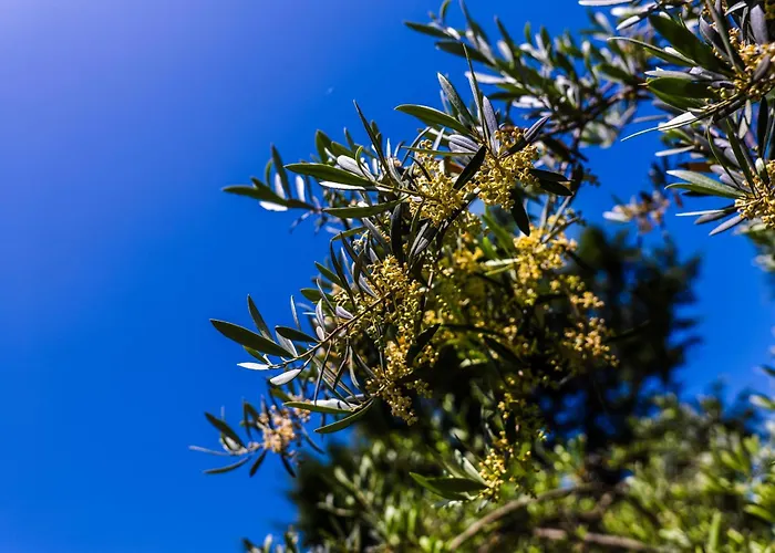 The Sicily Lobster House 别墅 *