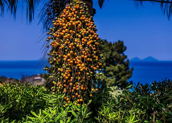 The Sicily Lobster House