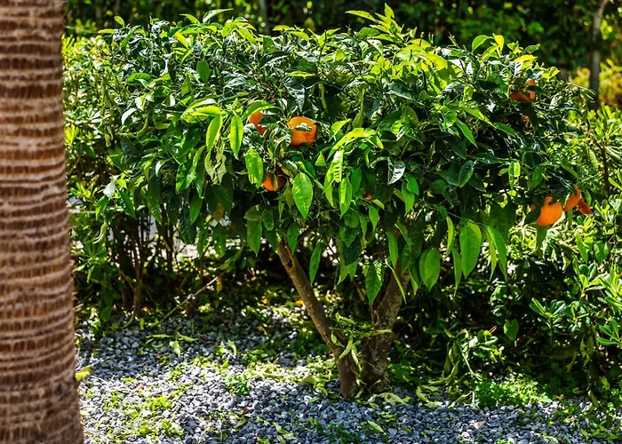 别墅 The Sicily Lobster House *