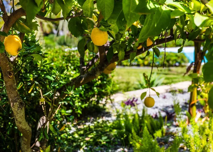 别墅 The Sicily Lobster House