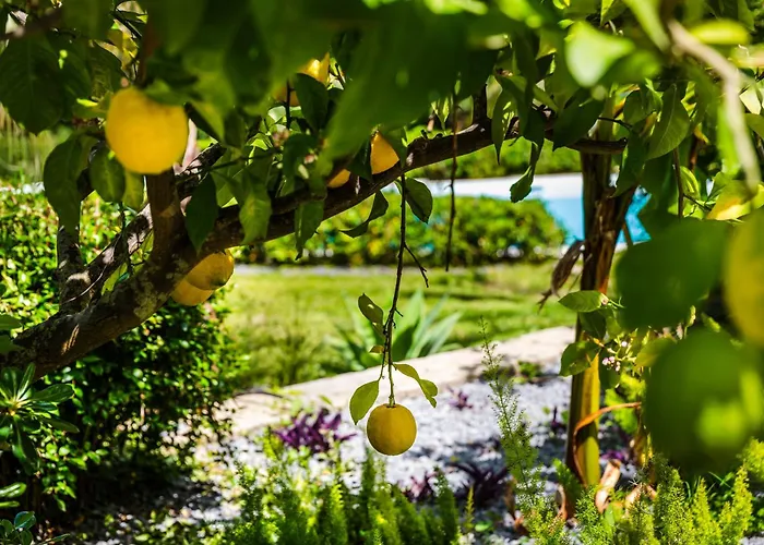 The Sicily Lobster House * Naso