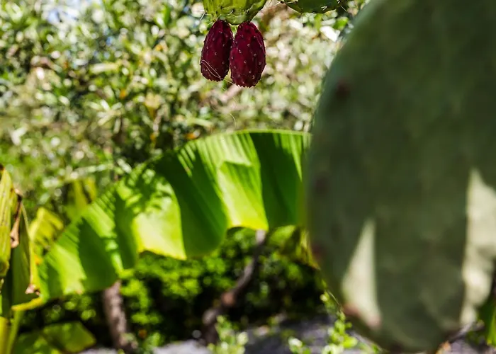 别墅 The Sicily Lobster House