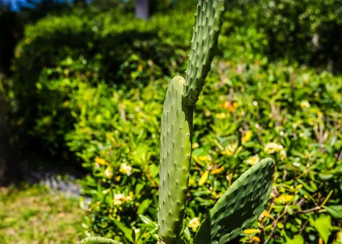 别墅 The Sicily Lobster House *