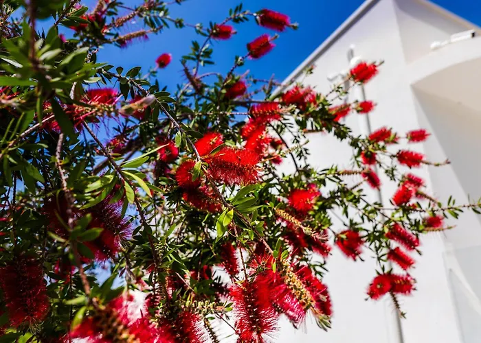 The Sicily Lobster House *